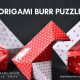 origami Burr Puzzle (1)