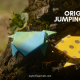 Origami Jumping Frog