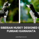 Siberian Husky Designed by Fumiaki Kawahata