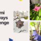 Origami 365 Days Challenge 2023