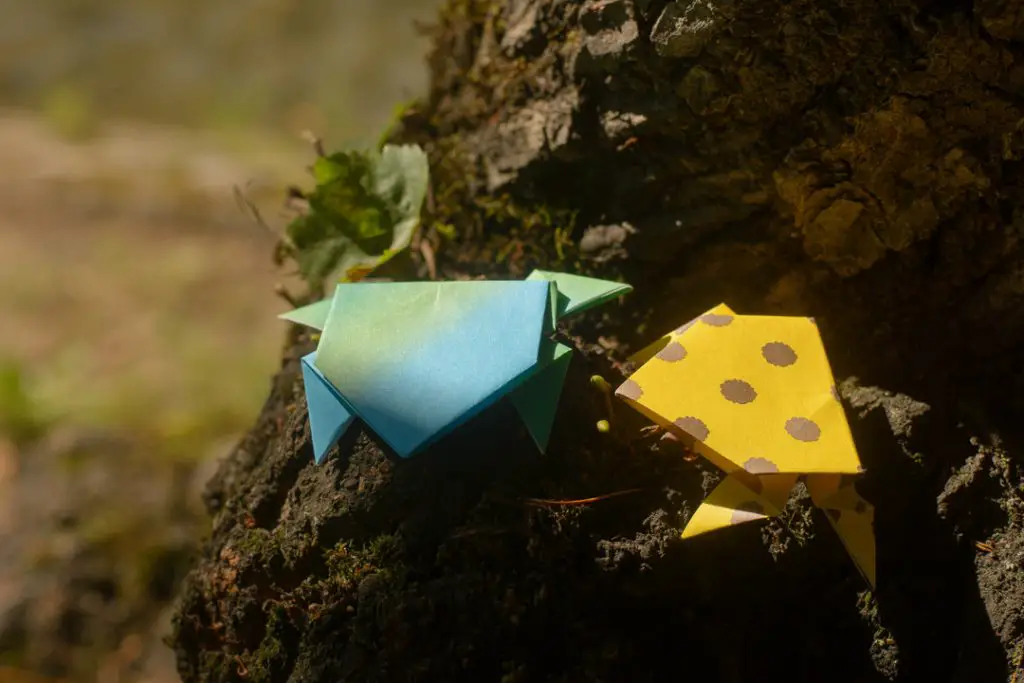 Find Out How To Fold An Origami Jumping Frog