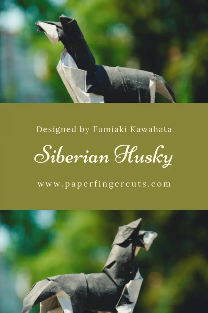 Siberian Husky Designed by Fumiaki Kawahata