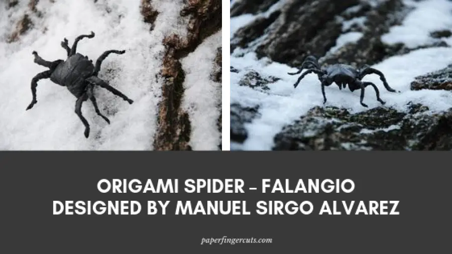 Origami Spider – Falangio Designed by Manuel Sirgo Alvarez