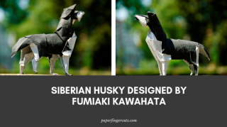 Siberian Husky Designed by Fumiaki Kawahata