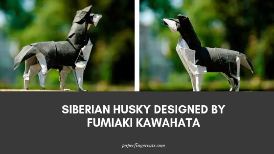 Siberian Husky Designed by Fumiaki Kawahata