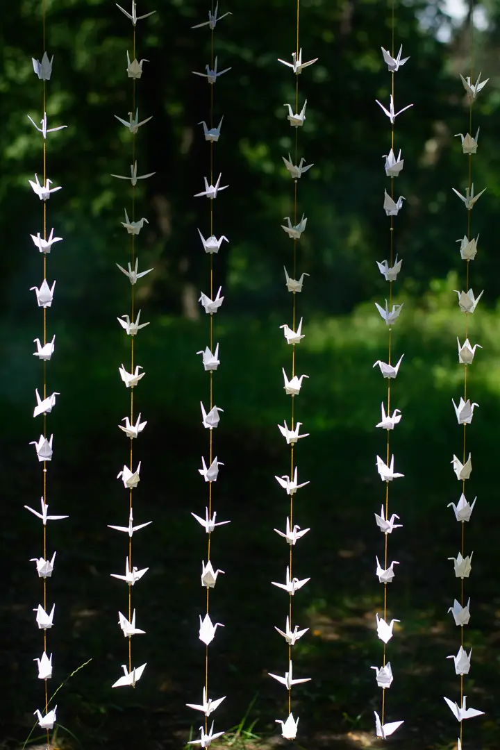 Origami Paper Cranes