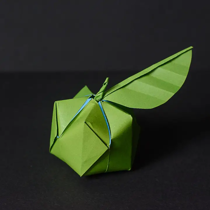 My First Month of One Year Origami Challenge
