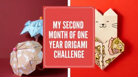 My second Month of One Year Origami Challenge