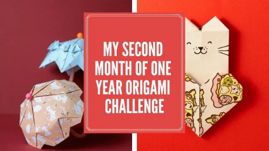 My second Month of One Year Origami Challenge