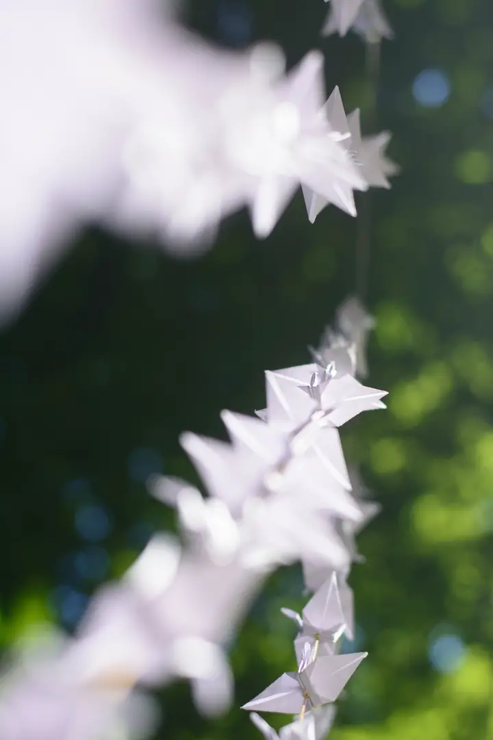 Wedding Backdrop