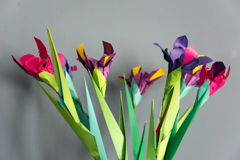 How To Make An Origami Iris Flower Step By Best Flower Site