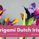 origami dutch iris (1)