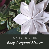 How-to-Fold-This-Easy-Origami-Flower