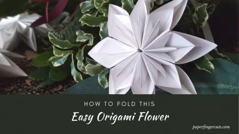 How-to-Fold-This-Easy-Origami-Flower