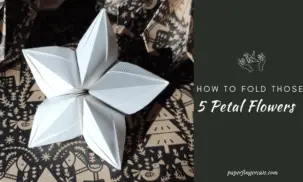 How to Fold Those 5 petal flowers (1)