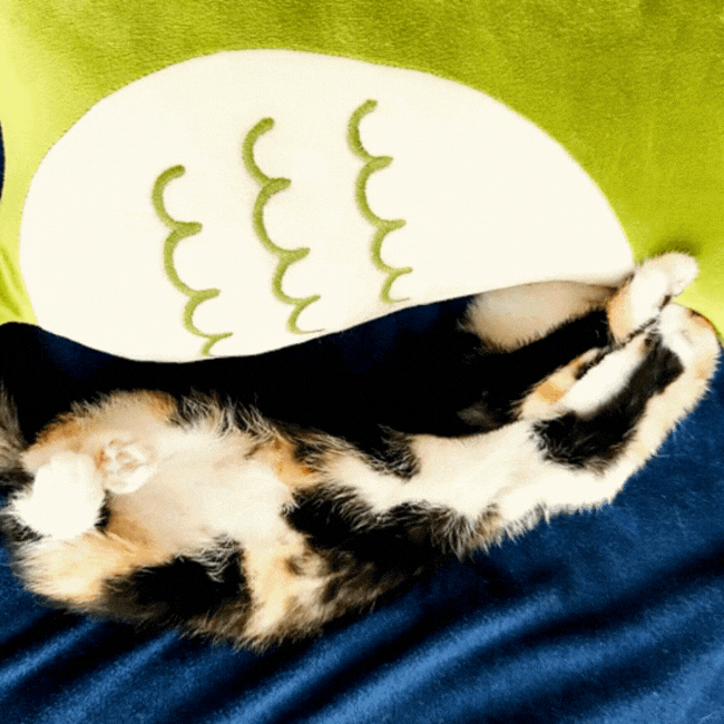 Folding Paper Snowflakes For My Christmas Decorations